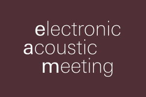 Electronic Acoustic Meeting
